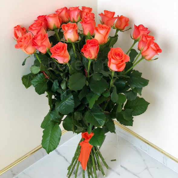 21 коралловая роза, лента в Лоо